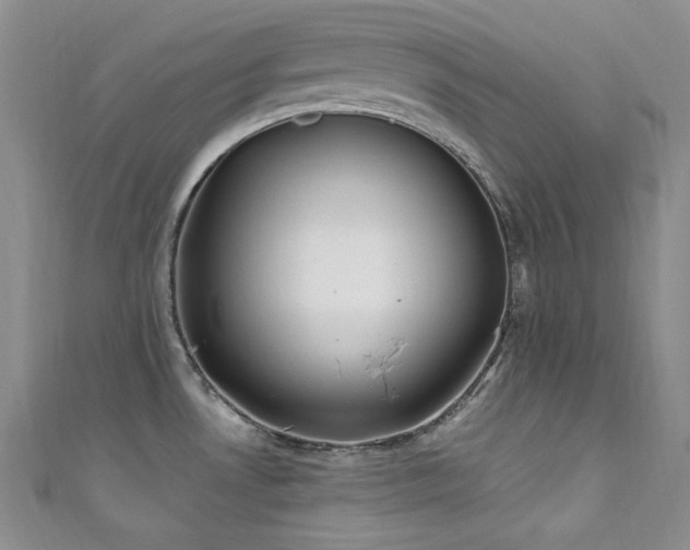 X0000111871530200907231502