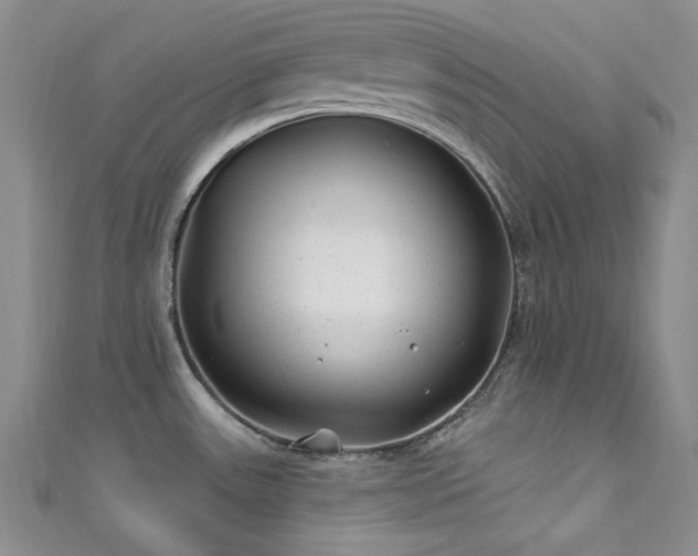 X0000111871531200907231502
