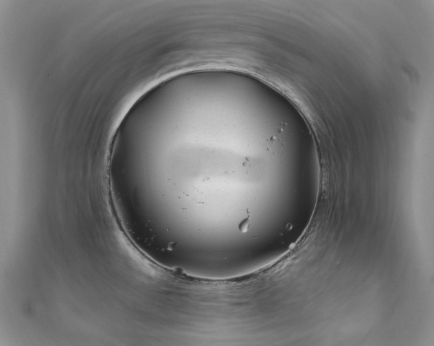 X0000111871532200907231502