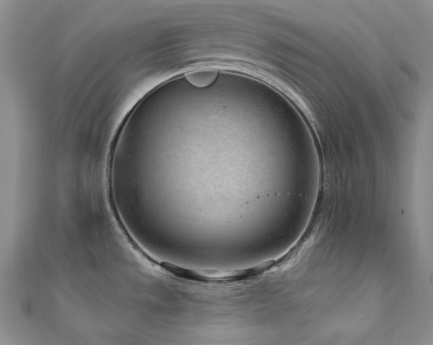 X0000111871533200907231502