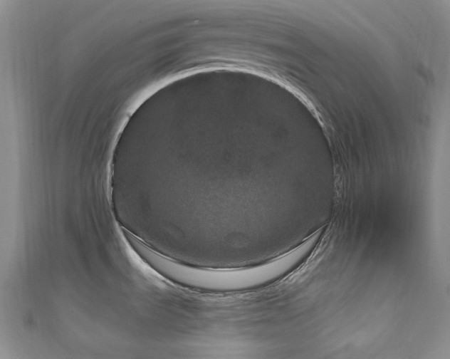 X0000111871535200907231502