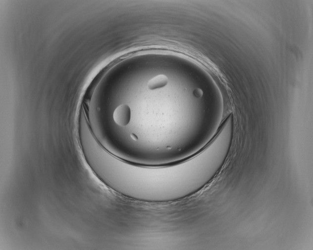 X0000111871536200907231502