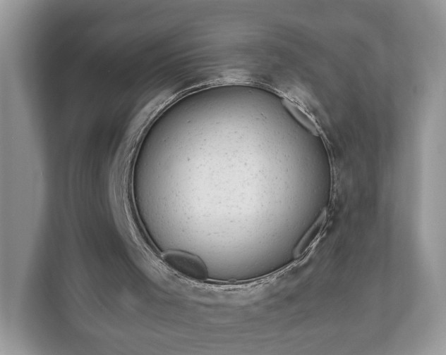 X0000111870001200907301126