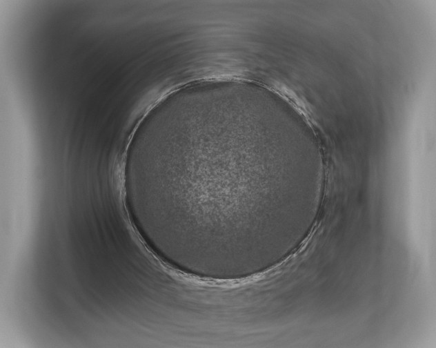 X0000111870002200907301126