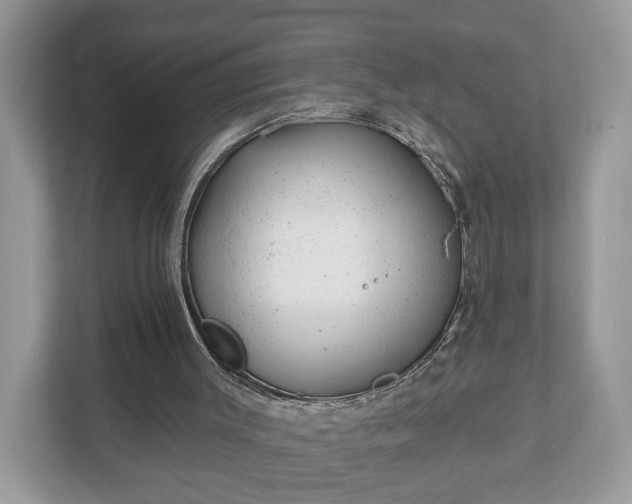 X0000111870003200907301126