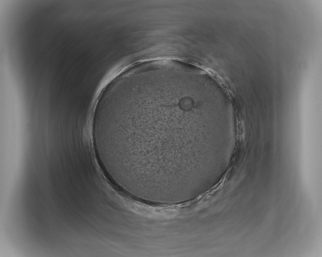 X0000111870004200907301126