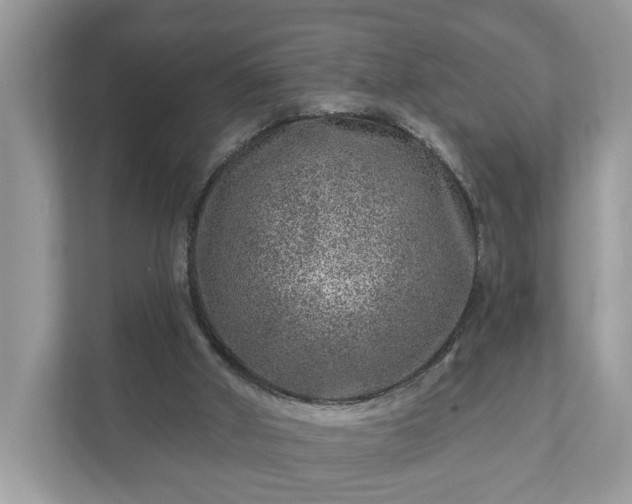 X0000111870010200907301126