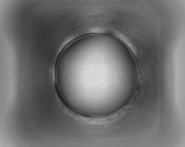 X0000111870011200907301126