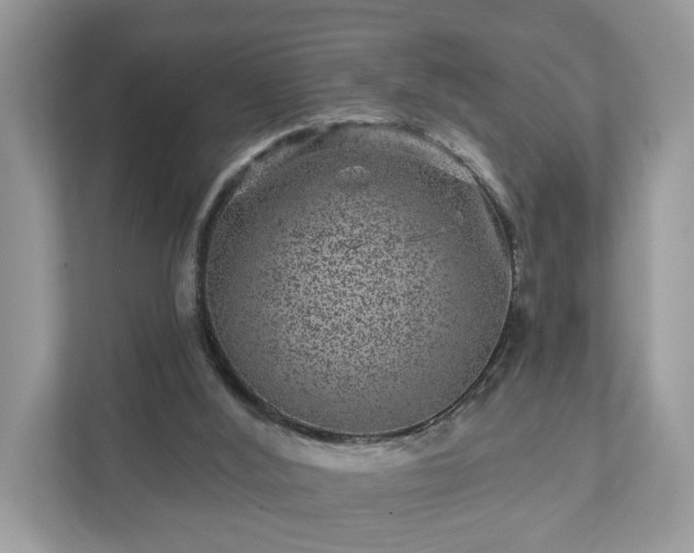 X0000111870012200907301126