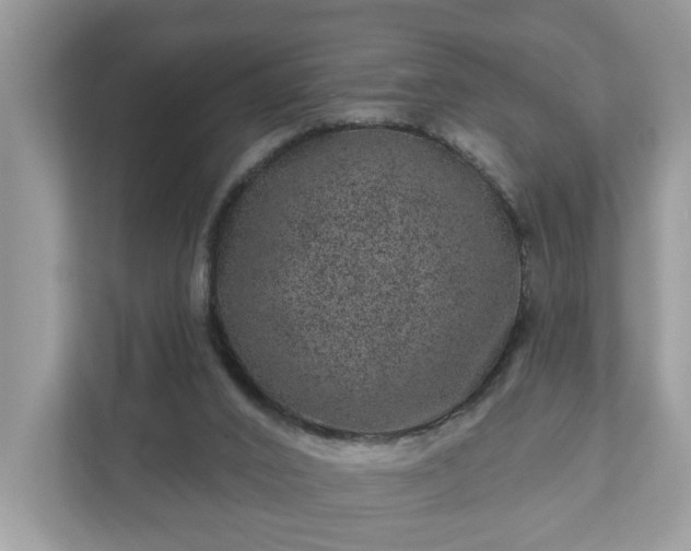 X0000111870016200907301125