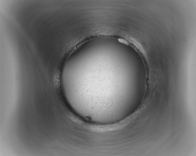 X0000111870017200907301125