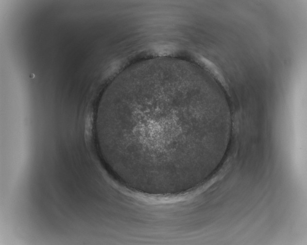 X0000111870018200907301125