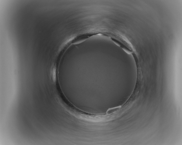 X0000111870019200907301125