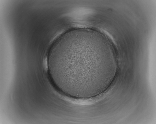 X0000111870020200907301125