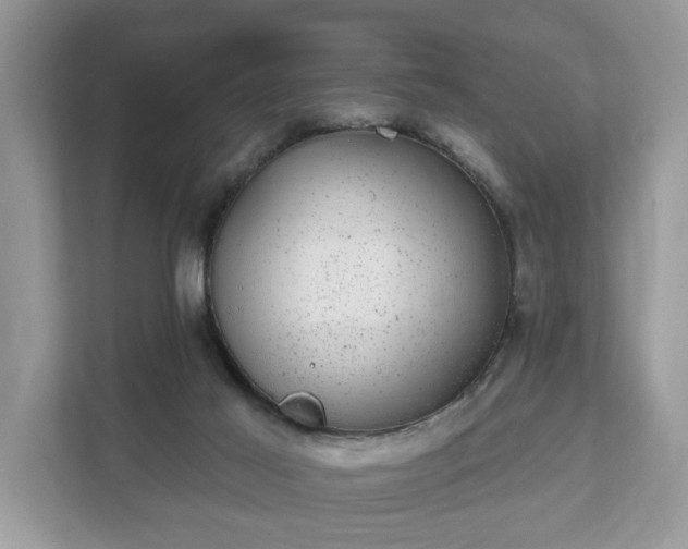 X0000111870021200907301125