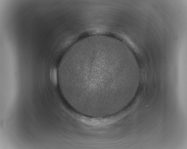 X0000111870022200907301125