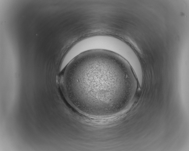 X0000111870023200907301125