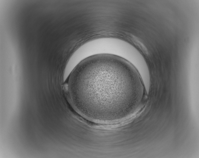 X0000111870025200907301125