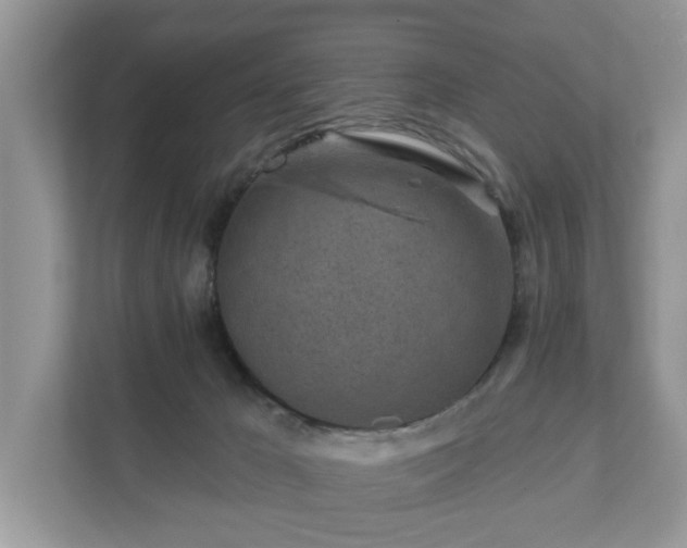 X0000111870029200907301125