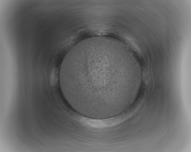 X0000111870030200907301125