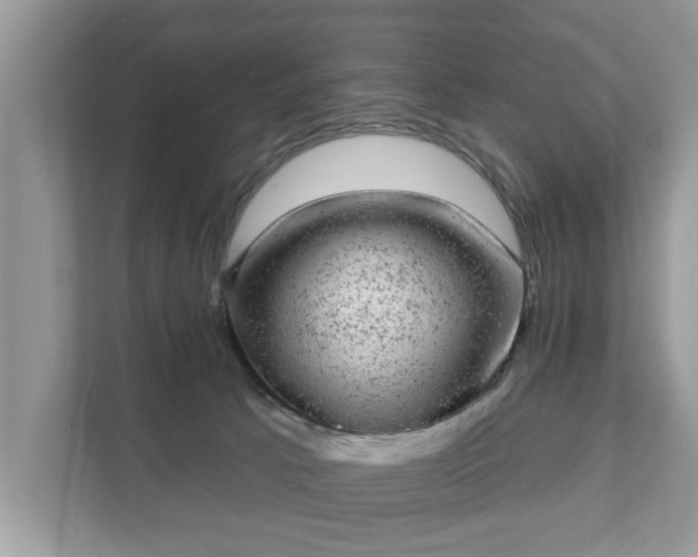 X0000111870033200907301125