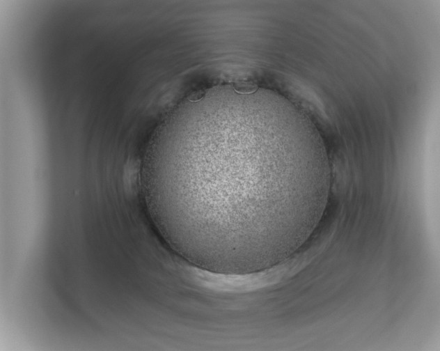 X0000111870034200907301125