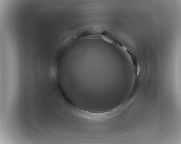 X0000111870035200907301125