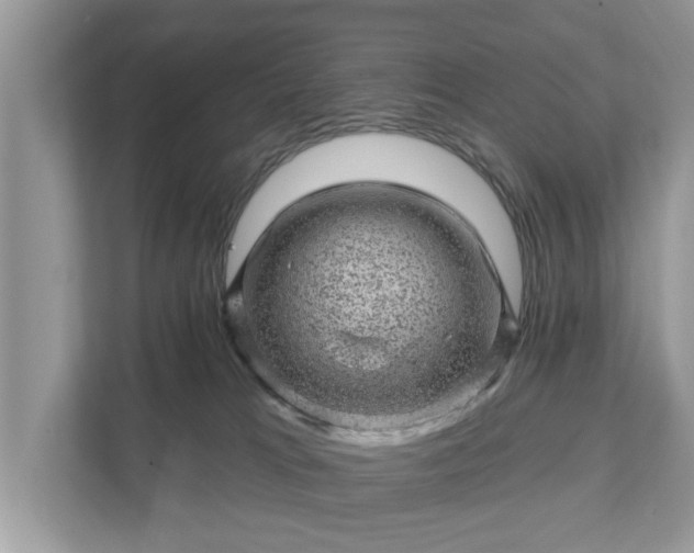 X0000111870037200907301125