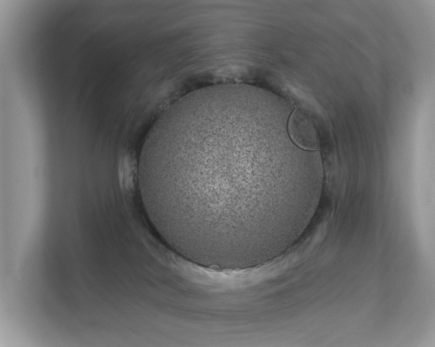 X0000111870038200907301125