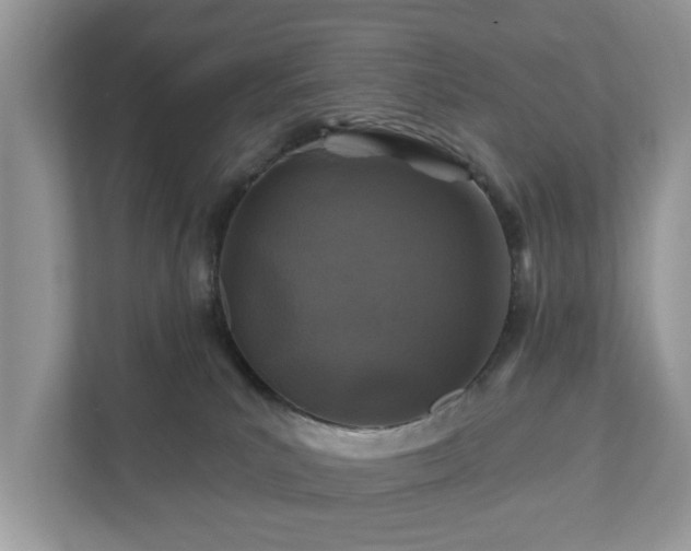 X0000111870039200907301125