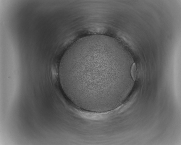 X0000111870040200907301125