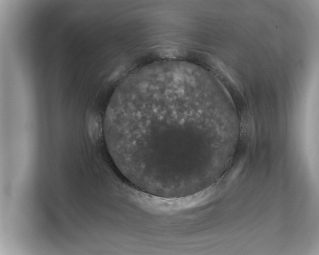 X0000111870043200907301125