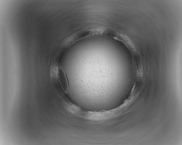 X0000111870045200907301125