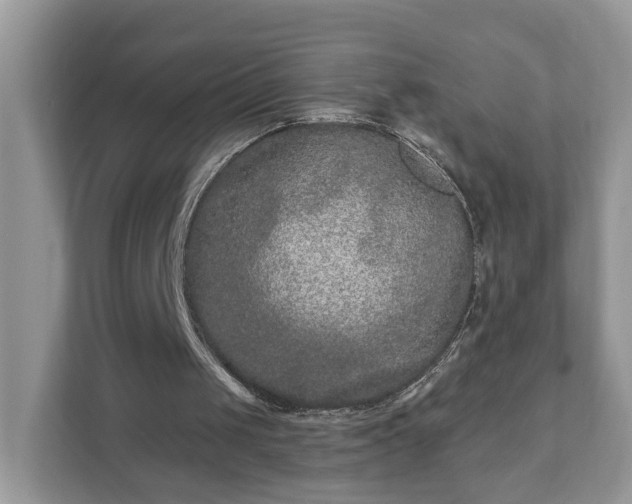 X0000111870049200907301124