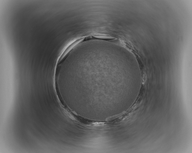 X0000111870052200907301124