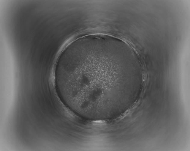 X0000111870053200907301124