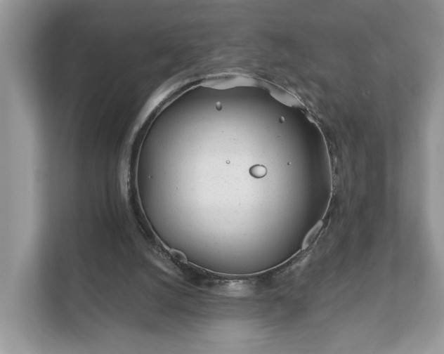 X0000111870056200907301125