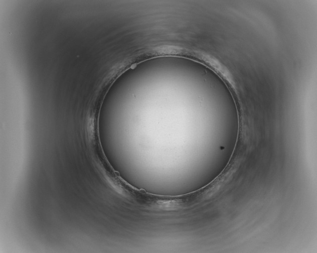 X0000111870057200907301125