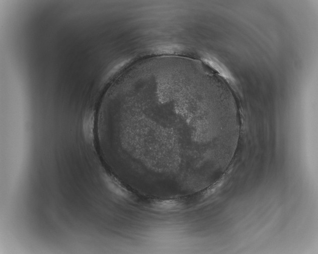 X0000111870058200907301125