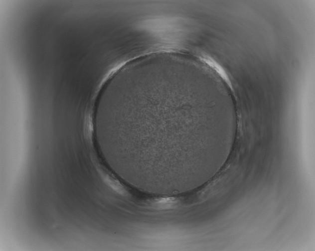 X0000111870059200907301125