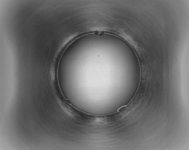 X0000111870060200907301125