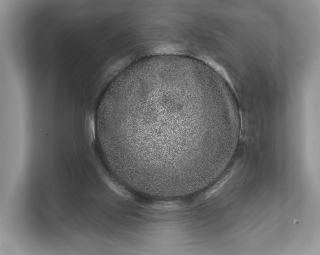 X0000111870061200907301125