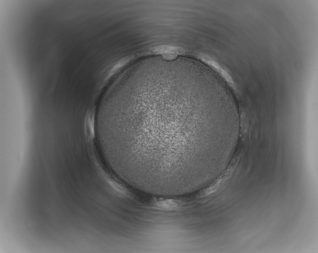 X0000111870062200907301125