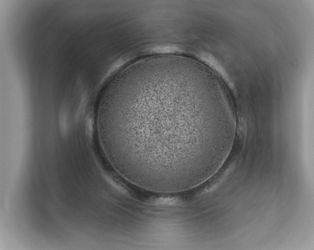 X0000111870063200907301125