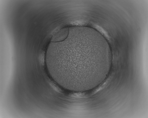 X0000111870065200907301125