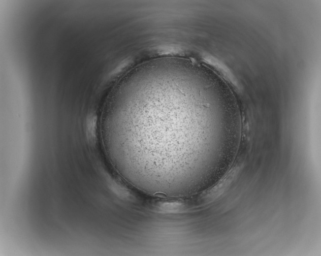 X0000111870066200907301125