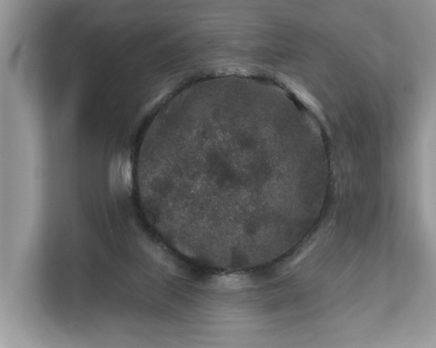 X0000111870067200907301125