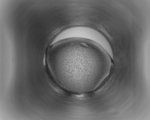 X0000111870068200907301125