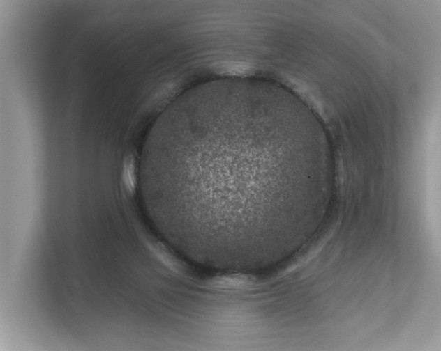 X0000111870069200907301125