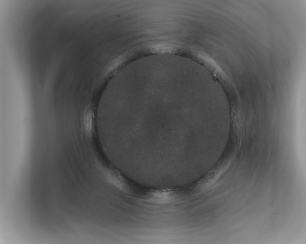 X0000111870071200907301125